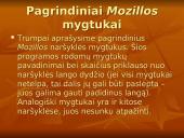 Naršymas ir naršyklė 6 puslapis