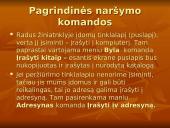 Naršymas ir naršyklė 8 puslapis