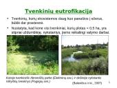 Objektų eutrofikacija Lietuvoje 15 puslapis