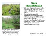 Objektų eutrofikacija Lietuvoje 16 puslapis
