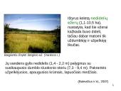 Objektų eutrofikacija Lietuvoje 6 puslapis