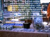 Olandijos geografinės ypatybės 3 puslapis