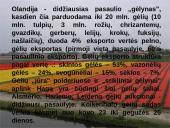 Olandijos geografinės ypatybės 7 puslapis