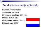 Bendra informacija apie Olandiją 2 puslapis