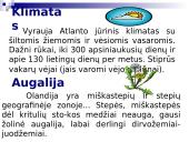 Bendra informacija apie Olandiją 5 puslapis