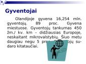 Bendra informacija apie Olandiją 7 puslapis