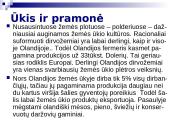 Bendra informacija apie Olandiją 8 puslapis