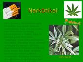 Olandijos aprašymas 14 puslapis