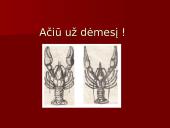 Onkologija ir navikai 14 puslapis