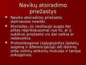 Onkologija ir navikai 4 puslapis