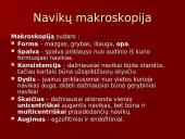 Onkologija ir navikai 10 puslapis