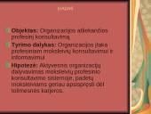 Organizacijos vaidmuo vykdant moksleivių profesinįinformavimą ir konsultavimą 2 puslapis