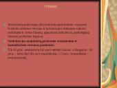 Organizacijos vaidmuo vykdant moksleivių profesinįinformavimą ir konsultavimą 6 puslapis