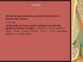 Organizacijos vaidmuo vykdant moksleivių profesinįinformavimą ir konsultavimą 7 puslapis