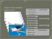 Pagrindiniai orlaivių geometrijos modeliavimo metodai 12 puslapis