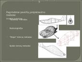 Pagrindiniai orlaivių geometrijos modeliavimo metodai 5 puslapis