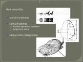 Pagrindiniai orlaivių geometrijos modeliavimo metodai 7 puslapis