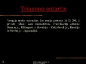 Paryžiaus taikos konferencija 12 puslapis