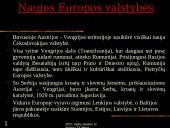 Paryžiaus taikos konferencija 17 puslapis