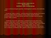 Patentinė paraiška kaip intelektualinės nuosavybės apsauga 2 puslapis