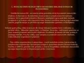 Patentinė paraiška kaip intelektualinės nuosavybės apsauga 18 puslapis