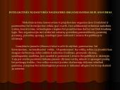 Patentinė paraiška kaip intelektualinės nuosavybės apsauga 19 puslapis