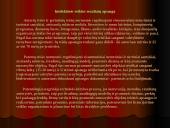 Patentinė paraiška kaip intelektualinės nuosavybės apsauga 3 puslapis