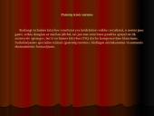 Patentinė paraiška kaip intelektualinės nuosavybės apsauga 9 puslapis