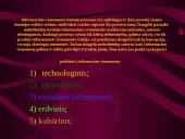 5 požiūriai į informacinę visuomenę 3 puslapis