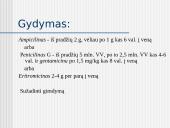 Perinatalinė infekcija 13 puslapis