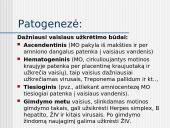 Perinatalinė infekcija 5 puslapis