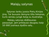 Pietryčių Azijos ypatumai 15 puslapis