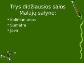 Pietryčių Azijos ypatumai 17 puslapis