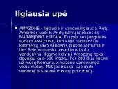 Pietų Amerika ir jos šalys 7 puslapis