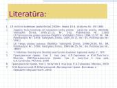 Pirkimo-pardavimo sutarties pagrindai 2 puslapis