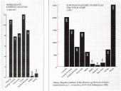 Pirmasis pasaulinis karas 1914 07 28 - 1918 11 11  18 puslapis