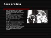 Pirmasis pasaulinis karas 1914 07 28 - 1918 11 11  9 puslapis