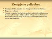 Pirmasis pasaulinis karas 1914-1918 m. 12 puslapis