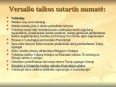 Pirmasis pasaulinis karas 1914-1918 m. 14 puslapis