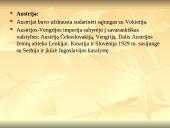 Pirmasis pasaulinis karas 1914-1918 m. 15 puslapis