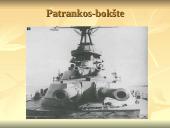 Pirmasis pasaulinis karas 1914-1918 m. 18 puslapis