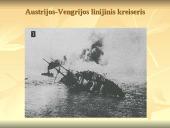 Pirmasis pasaulinis karas 1914-1918 m. 19 puslapis