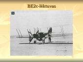 Pirmasis pasaulinis karas 1914-1918 m. 20 puslapis