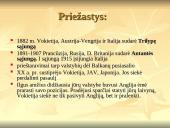 Pirmasis pasaulinis karas 1914-1918 m. 3 puslapis