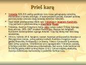 Pirmasis pasaulinis karas 1914-1918 m. 5 puslapis