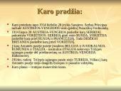 Pirmasis pasaulinis karas 1914-1918 m. 6 puslapis