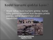 Pirmojo pasaulinio karo ginklai 2 puslapis