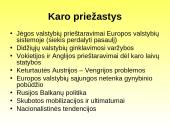Pirmojo Pasaulinio karo priežastys ir eiga 2 puslapis