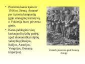 Pirmojo Pasaulinio karo priežastys ir eiga 13 puslapis