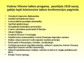 Pirmojo Pasaulinio karo priežastys ir eiga 17 puslapis